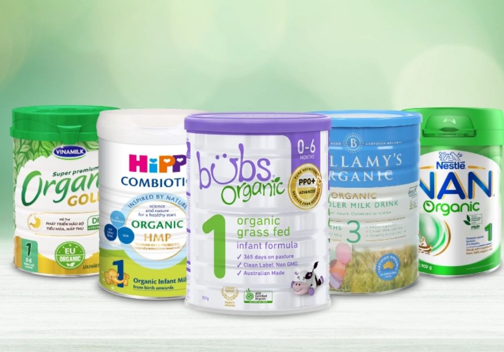 Sữa Organic được sản xuất từ nguồn sữa bò nuôi bằng thức ăn tự nhiên