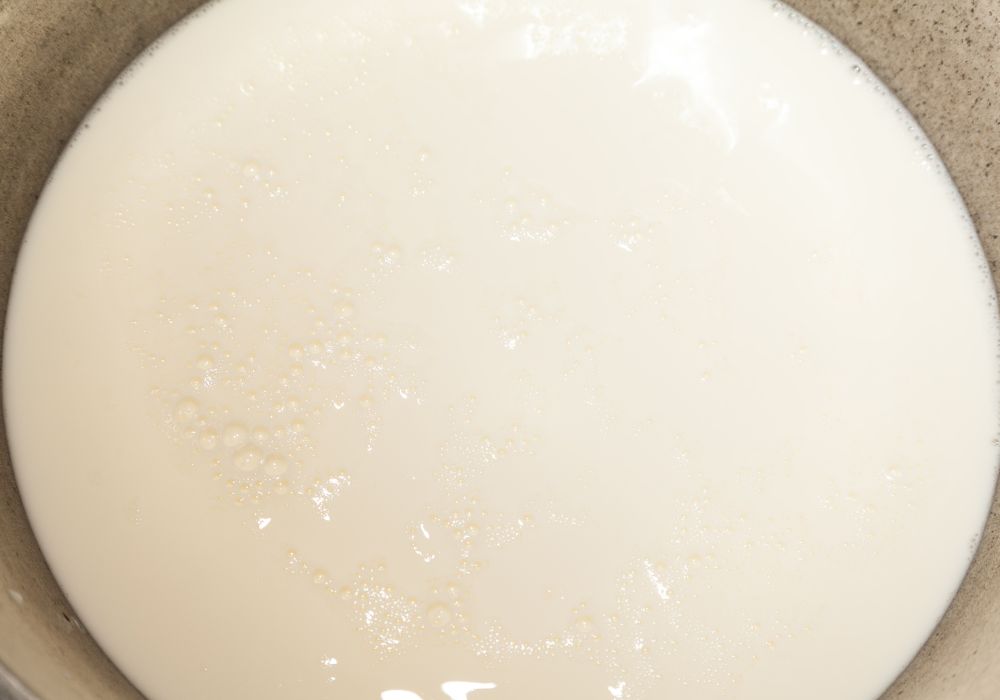 bước 1 để làm phô mai từ sữa tươi