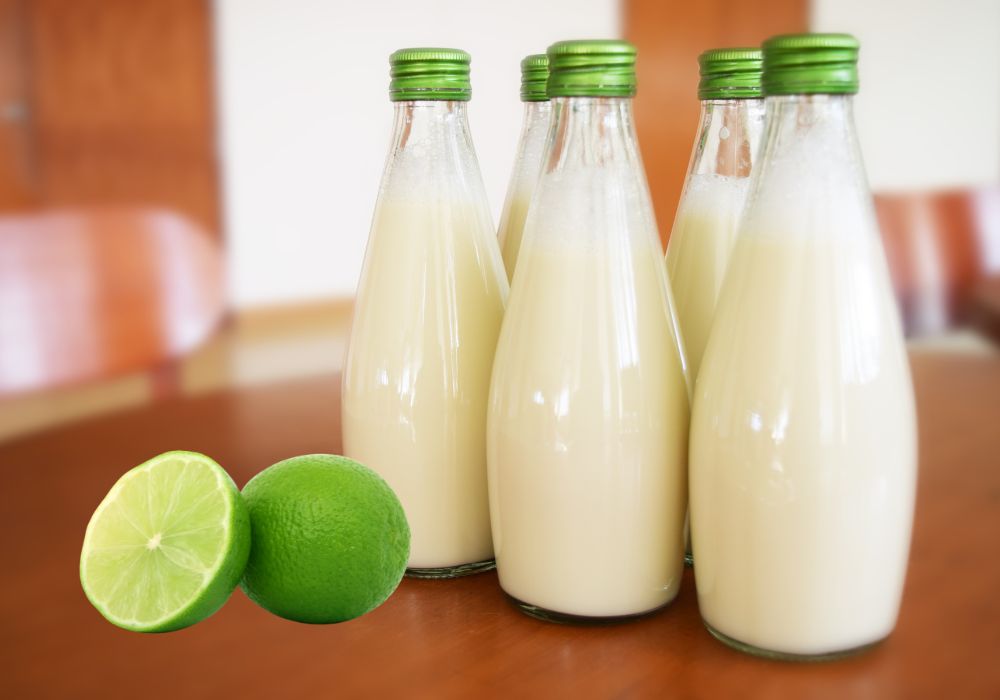 nguyên liệu để làm phô mai từ sữa tươi