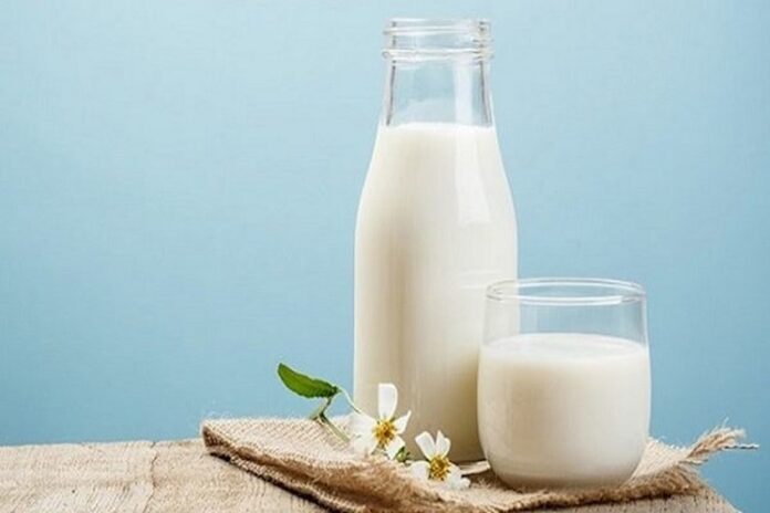 sữa tươi không đường bao nhiêu calo