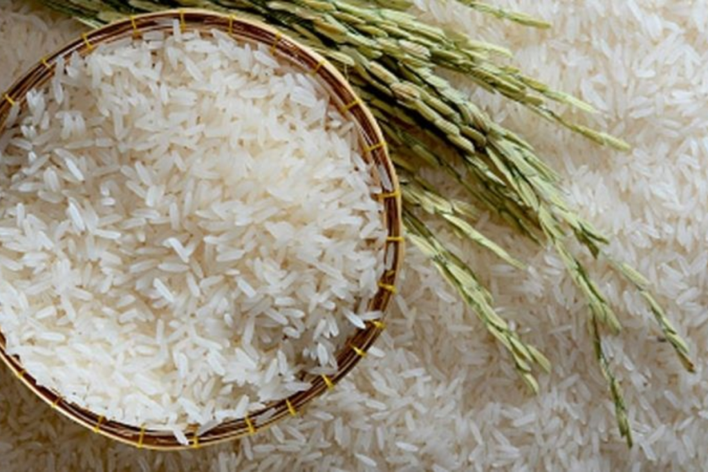 Mua gạo ST25 giá bao nhiêu 10kg