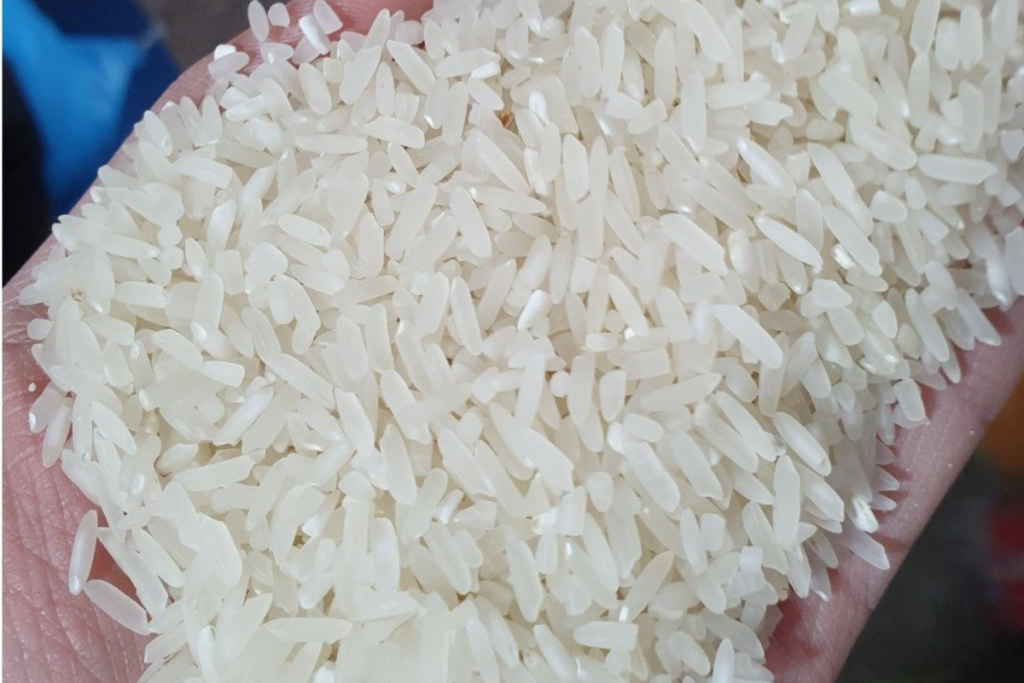 Đặc điểm của gạo tẻ