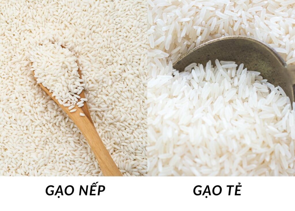 Gạo nếp và gạo tẻ khác nhau