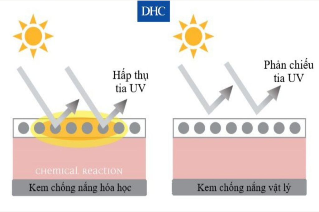 Phân biệt kem chống nắng cho da khô