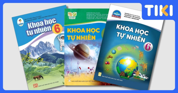 Bảng giá sách giáo khoa lớp 6: Cập nhật 3 bộ sách đầy đủ nhất
