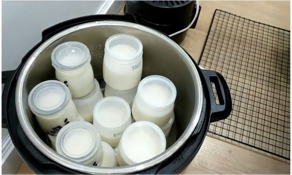 Cách làm sữa chua từ sữa tươi ủ bằng nồi cơm điện