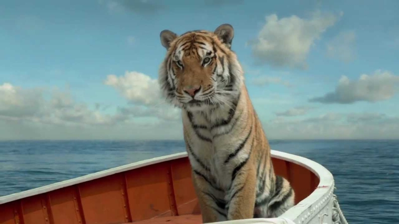 Richard Parker – Hiện thân của bản năng sinh tồn hay một người bạn đồng hành?