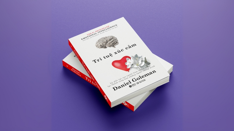 Sách Trí tuệ xúc cảm (Emotional Intelligence) - Daniel Goleman.