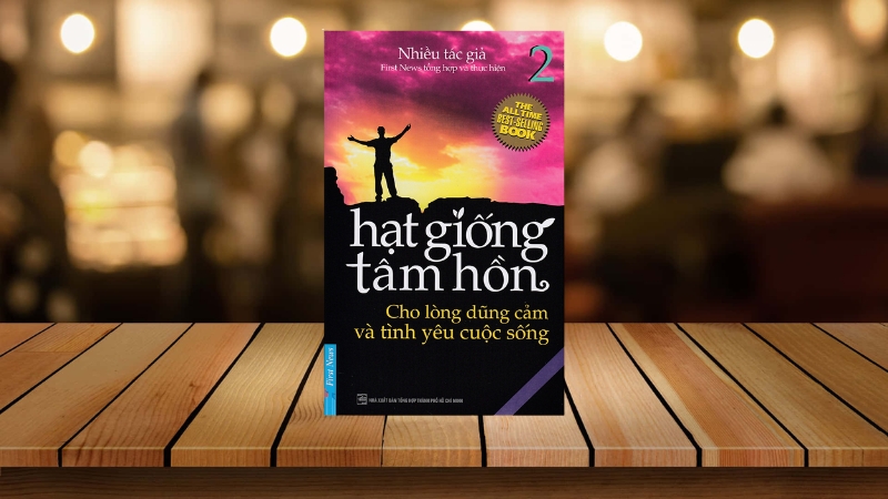 Sách Hạt Giống Tâm Hồn - Cho Lòng Dũng Cảm và Tình Yêu Cuộc Sống.