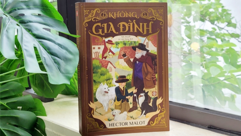 Những trích dẫn hay và sâu sắc nhất trong sách "Không Gia Đình"