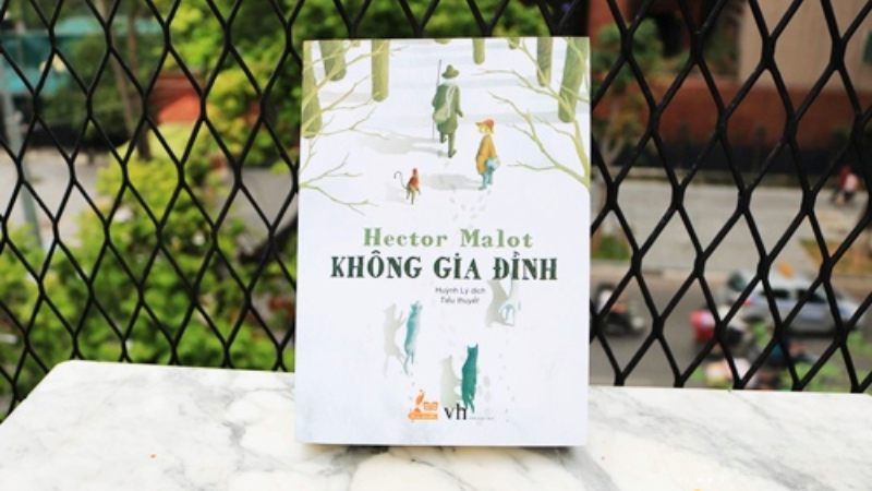 "Không Gia Đình" là một bản hùng ca về phẩm giá con người