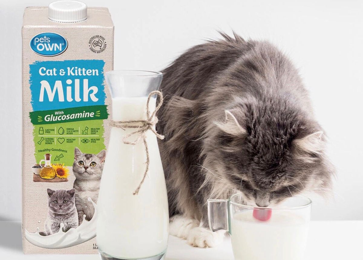 Sữa cho mèo con Pets Own