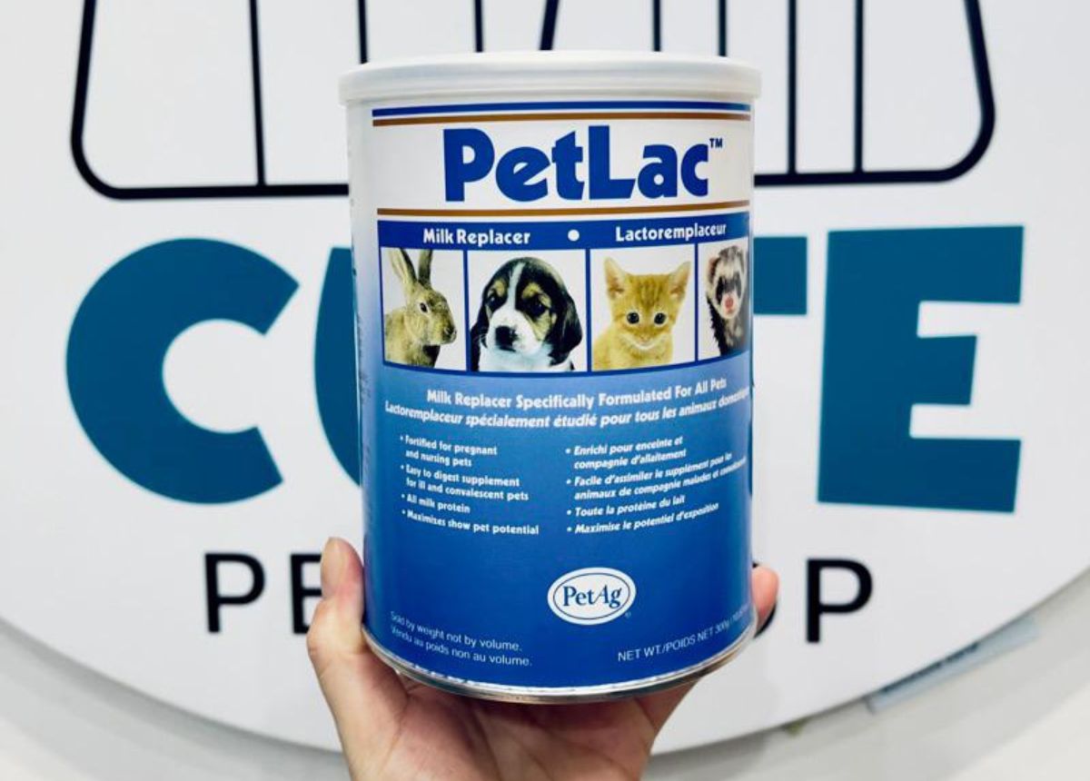 Sữa cho mèo con PetLac