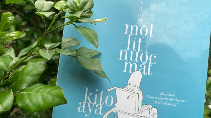 Những giá trị làm nên sức sống của Một lít nước mắt.