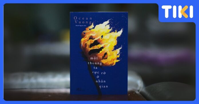Review Một thoáng ta rực rỡ ở nhân gian: Nơi ngôn từ là vết sẹo đẹp