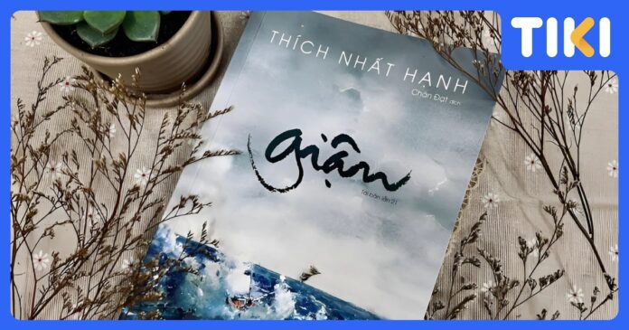 Review Giận của Thích Nhất Hạnh: Ôm ấp và chuyển hóa sân hận thành từ bi