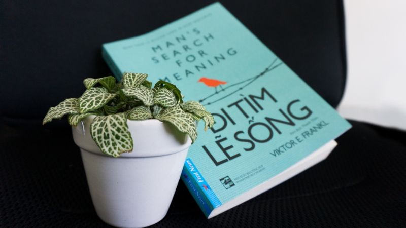 Phần này cung cấp cho người đọc một công cụ mạnh mẽ để đối mặt với những thử thách
