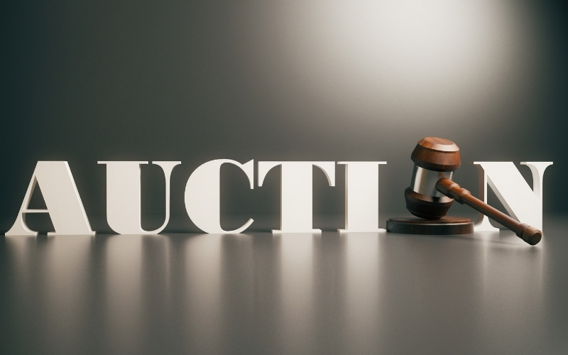 Tác giả áp dụng lý thuyết vào các tình huống cụ thể như đấu giá một món hàng,...