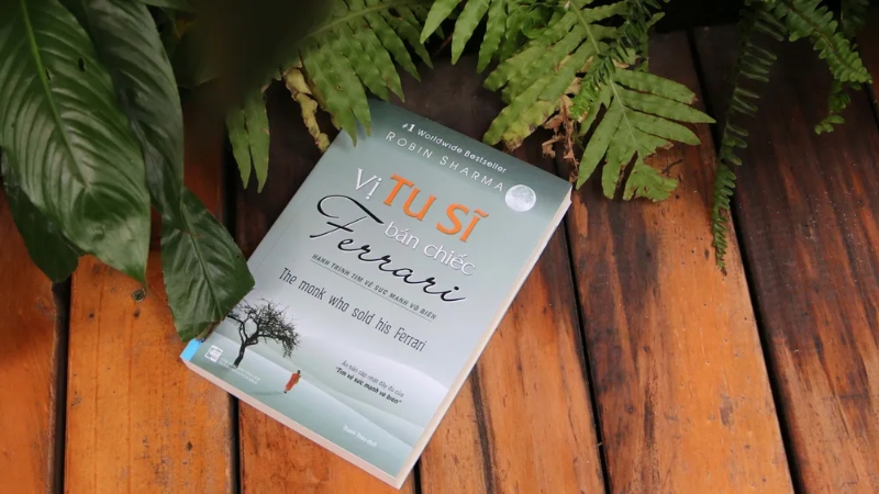 Phụng sự vô vị lợi từ những đóa hồng (Nguyên tắc 6)