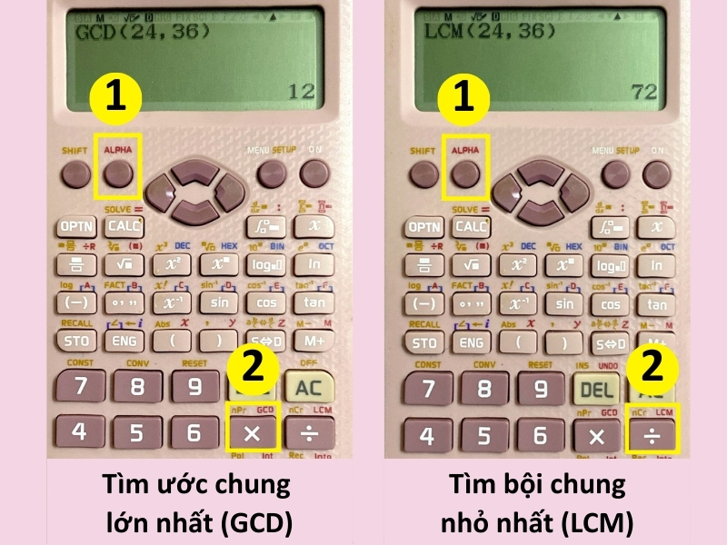 Tìm ước chung lớn nhất (GCD) và bội chung nhỏ nhất (LCM)