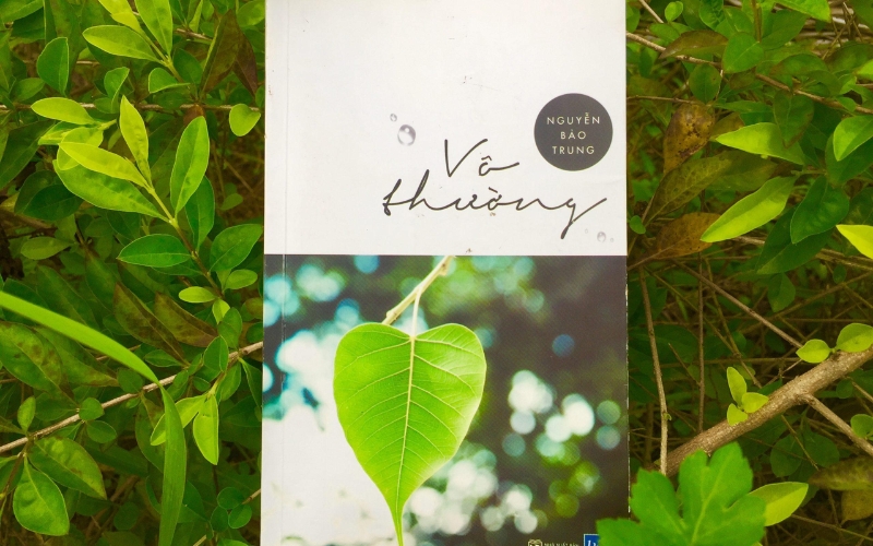Vô thường là tập tản văn kể những mảnh đời và trải nghiệm y tế đầy chiêm nghiệm