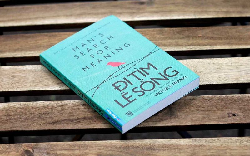 Đi tìm lẽ sống cho thấy sức mạnh phi thường nảy mầm từ nỗi đau