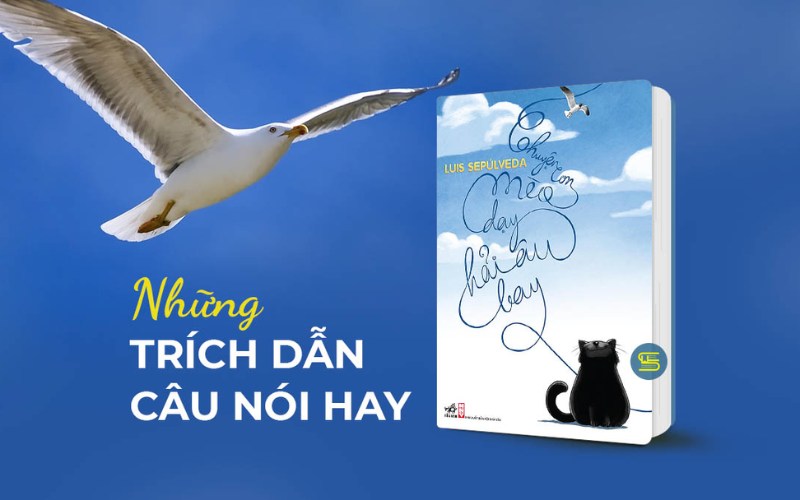 Các câu trích dẫn ấn tượng trong tác phẩm
