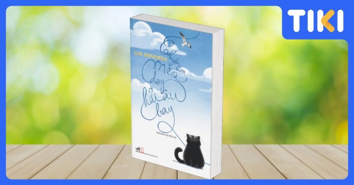 Review Chuyện con mèo dạy hải âu bay: Bản ngụ ngôn về tình yêu và lòng dũng cảm