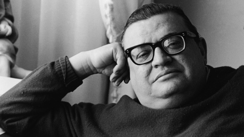 Mario Puzo là một nhà văn, nhà biên kịch người Mỹ gốc Ý