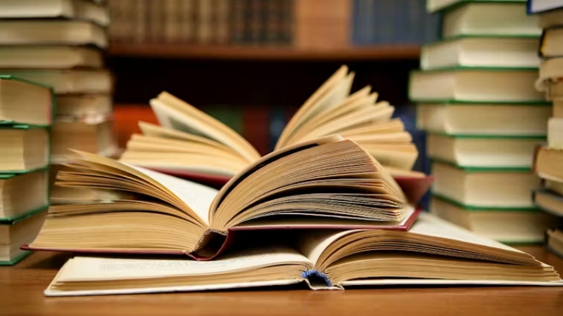 Fiction, hay sách hư cấu, là những tác phẩm văn học được sáng tạo hoàn toàn dựa trên trí tưởng tượng