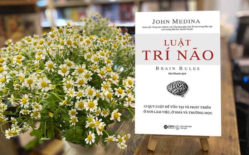 John Medina hướng dẫn bạn áp dụng 12 quy luật não bộ để tối ưu học tập, làm việc và sáng tạo hiệu quả