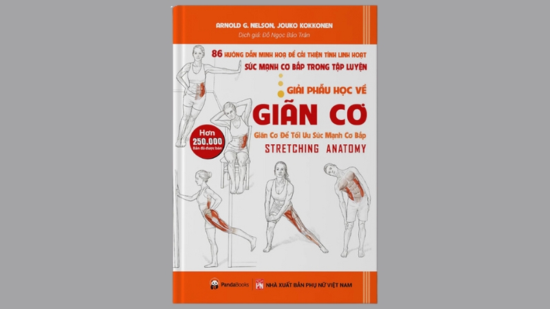 Giải Phẫu Học Về Giãn Cơ