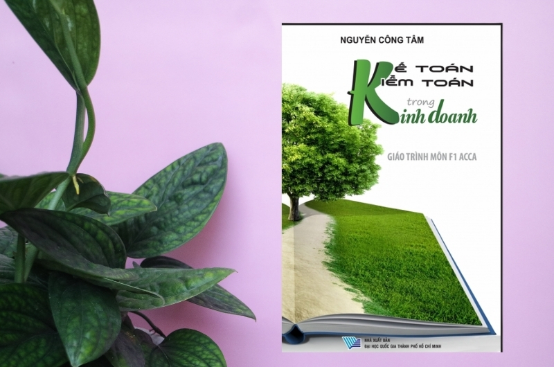 Sách Kế Toán Kiểm Toán Trong Kinh Doanh