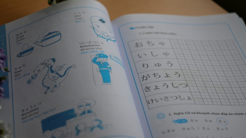 Sách cung cấp một lộ trình học tập bài bản, có hệ thống