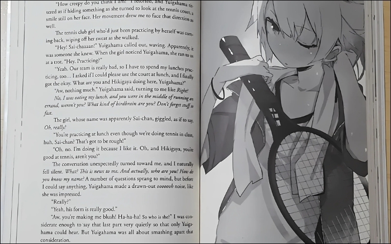 Light Novel gây hứng thú bởi sự song hành giữa câu chữ và hình ảnh