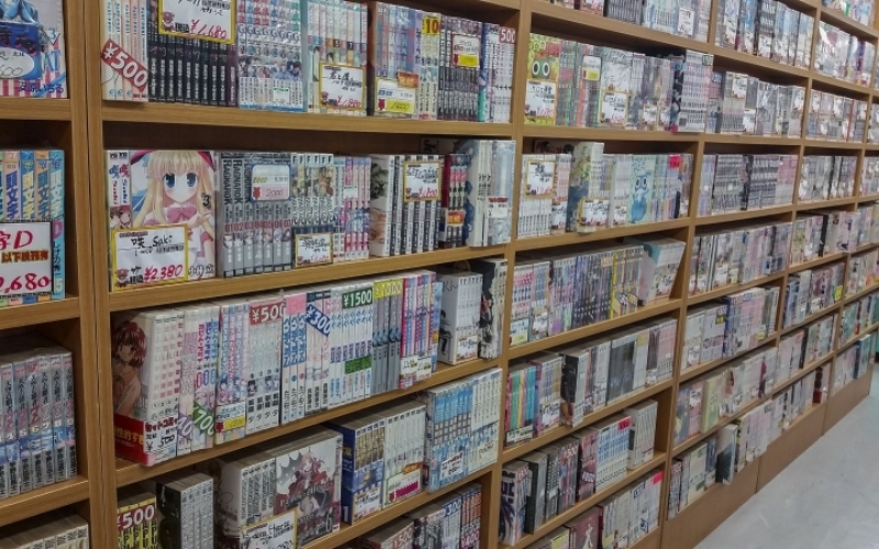 Light Novel rất đa dạng về bìa và thể loại
