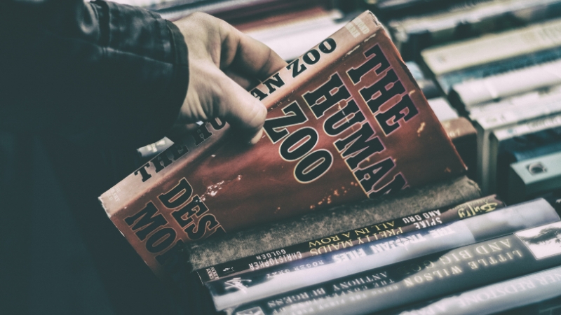 Chọn một chủ đề bạn thực sự yêu thích