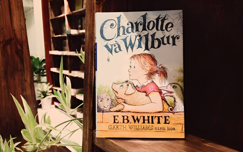Charlotte và Wilbur kể về tình bạn cảm động giữa heo Wilbur và nhện Charlotte