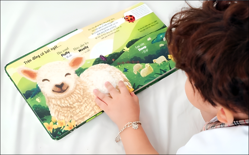 Bộ sách giúp bé học từ vựng và khám phá thế giới qua cảm nhận trực quan