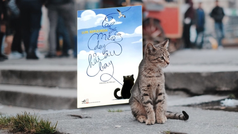 Tiêu chí lựa chọn sách hay cho bé 10 tuổi