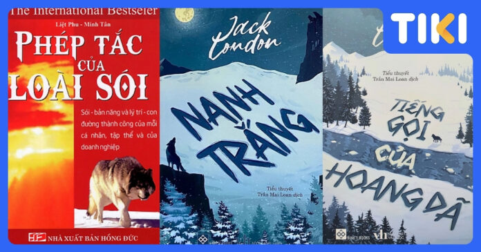 Top sách hay về loài sói đáng đọc nhất mọi thời đại