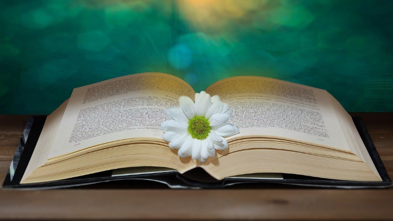 Người Việt viết cho người Việt mới có thể truyền tải trọn vẹn