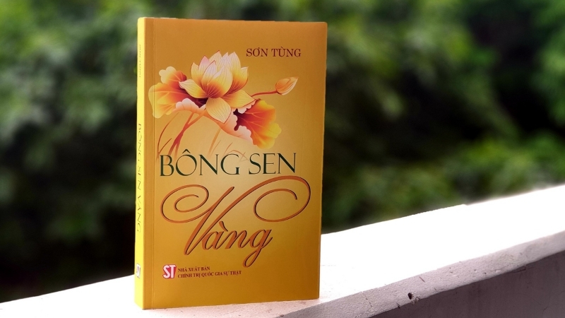 Sự kết hợp giữa lịch sử và chất liệu đời sống