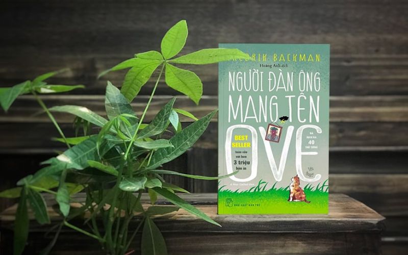 Điểm nhấn và giá trị nổi bật