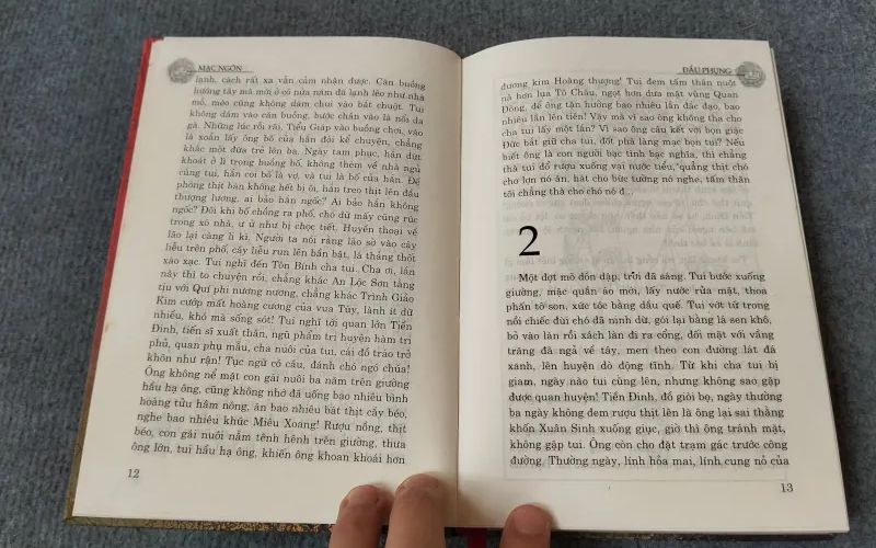 Pháp trường được sách mô tả như sân khấu ngoài trời, nơi bạo lực được dàn dựng