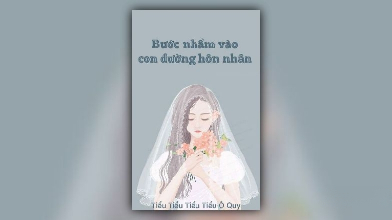 Bước Nhầm Vào Con Đường Hôn Nhân - Tác giả Tiểu Tiểu Tiểu Tiểu Ô Quy 