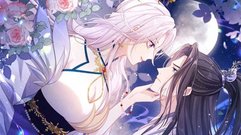 Lựa chọn truyện tu tiên hài hước phù hợp