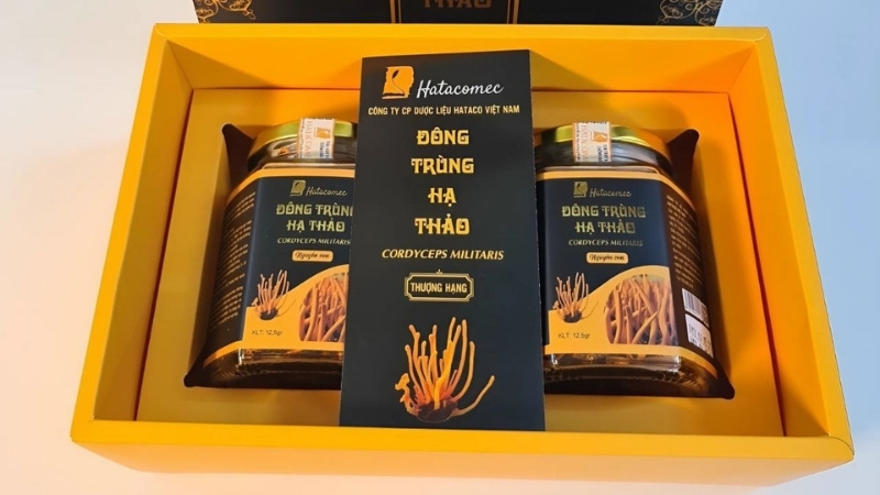 Đông trùng hạ thảo là quà sức khỏe cao cấp, ý nghĩa, phù hợp biếu tặng