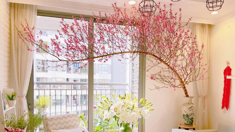 Mở cửa đón gió xuân, cho không khí trong nhà luôn tươi mới