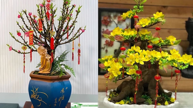 Hoa nhỏ mang không khí Tết rõ ràng